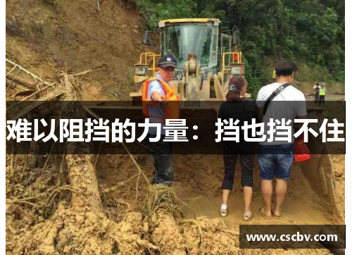 难以阻挡的力量：挡也挡不住