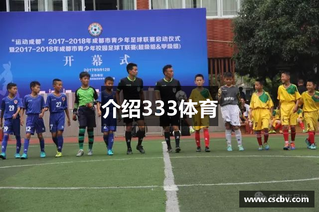 介绍333体育